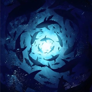 @Wave_of_the_oceann
