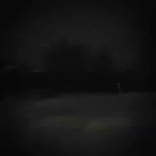 @wearq_1xxo