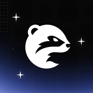 @weaselvpn