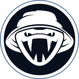 @web_runner
