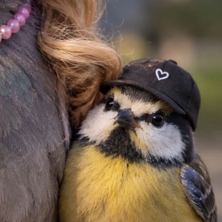 @Wert1g0o