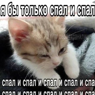 @WESSA_1