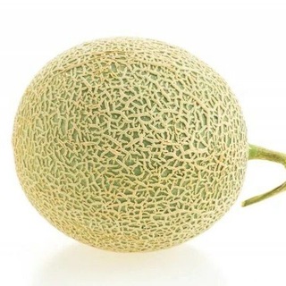 @WH1SS3L