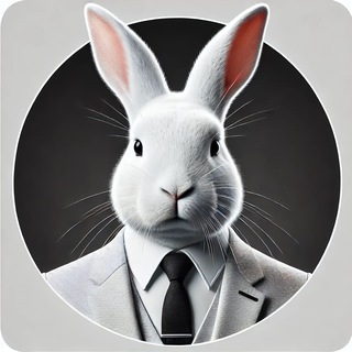 @white_rabbit_3
