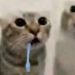 @WhiteMakLOL