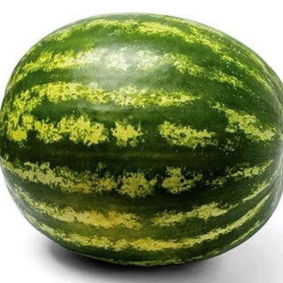 @wi01ya