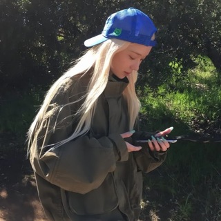 @wintejr