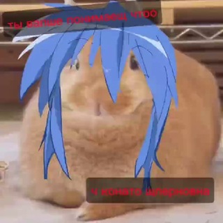 @witxerzz