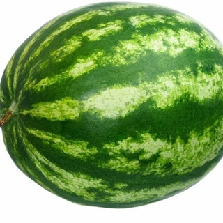 @wubbuldd