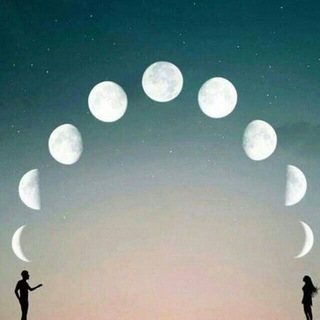 @X0_0X_bot