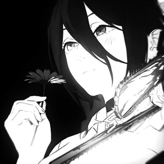 [🌙✨️]