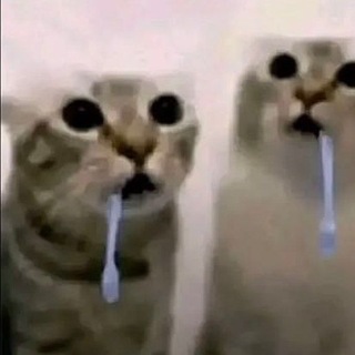 @xav13rsobas3d