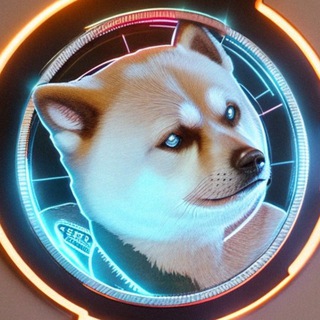@xdoge_bsc