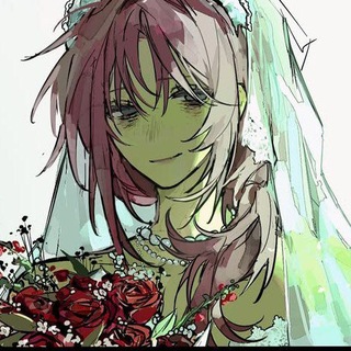 @xefis_meow