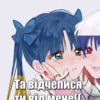 @xengmd