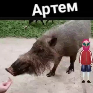 @xeqwer1x