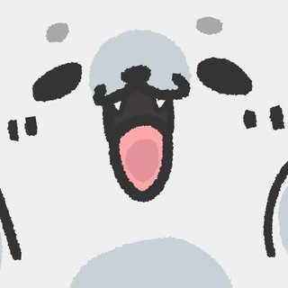 @Xexex_okeey