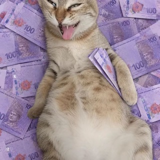 @Xian0408