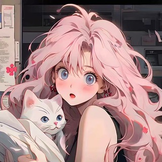 @xinbao0881