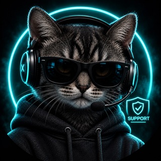 @xmodzsupport