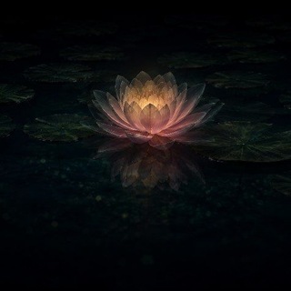 @xSnehApks