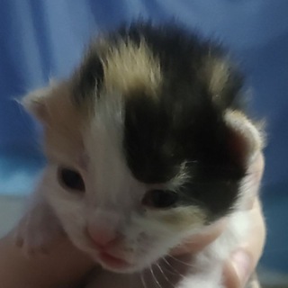 @xto_jeya