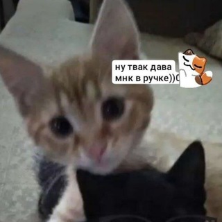 @xxxxxgjw