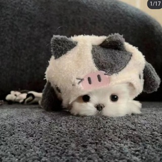 @xxz_bb
