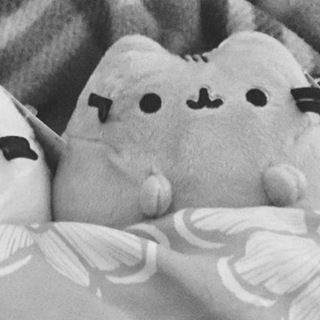 @y01kichi