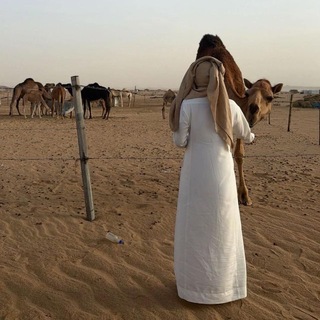 @Y_A_M