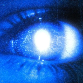 @Y_S_3F