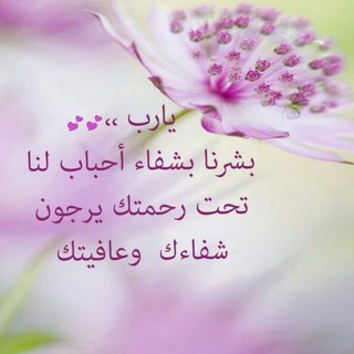 @yaarab519