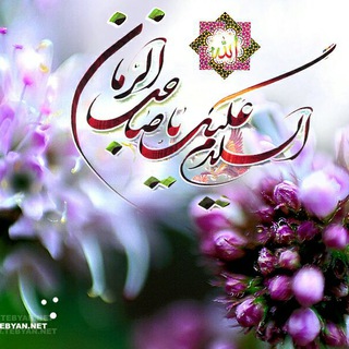 یا صاحب الزمان ادرکنی