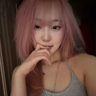 @yashadogs