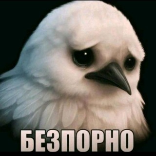 @yavinet_chat