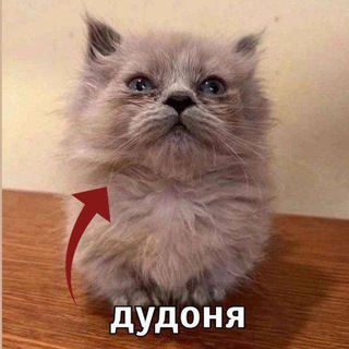 @Yaylolka
