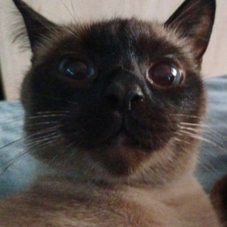 @Ybeute_meni_pls
