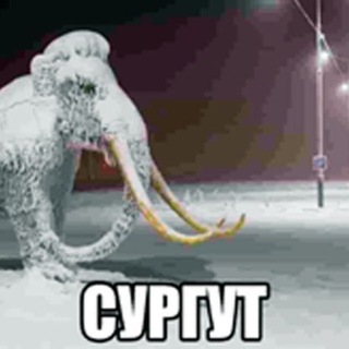 @ye1ka1