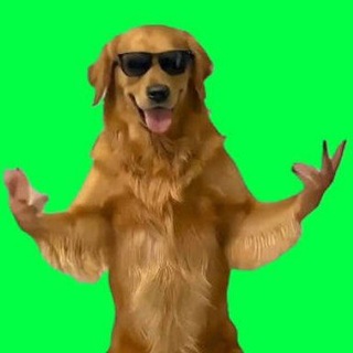 @ynga_biunga