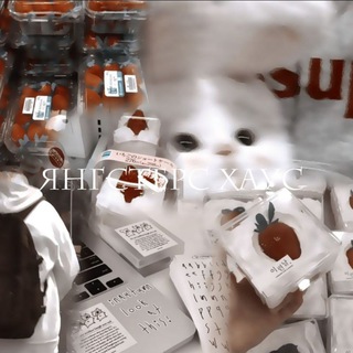 Янᴦᴄᴛᴇᴩᴄ хᴀуᴄ[ᴀнᴋᴇᴛᴀ]