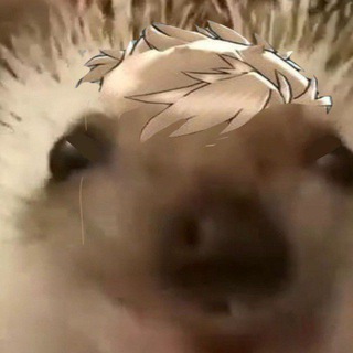 @Your_Umeji1