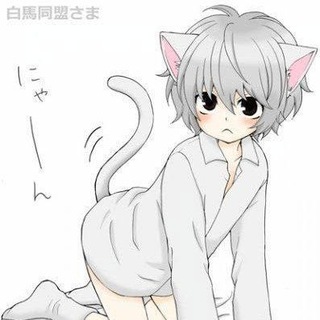 @YourKitten2