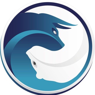 YourPiar24