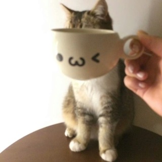 @Yrymh