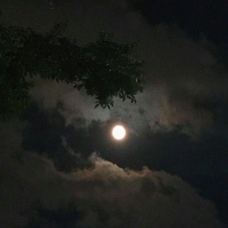 عــالميي