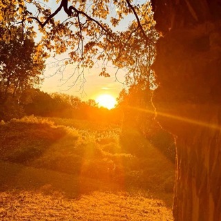 @YTPLT_ENVA