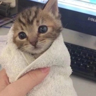 @z0mb1ek