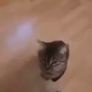 @zbmxv
