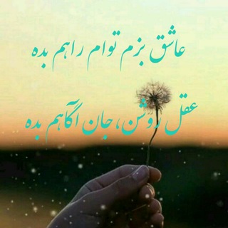 @zehnraha