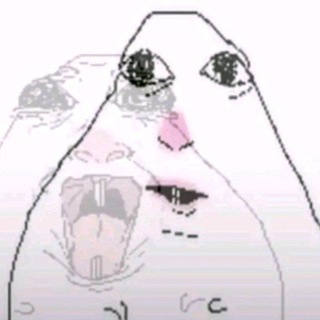 @zewsk